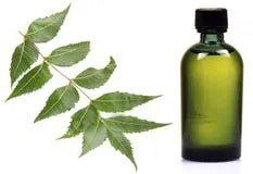 Neem Oil Benefits - D'Scent Essentials
